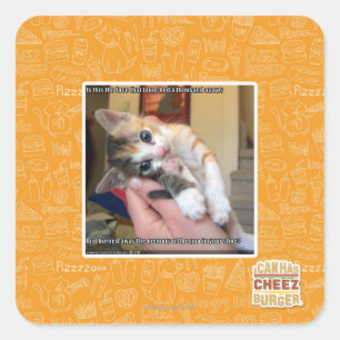 Aaaws Square Sticker