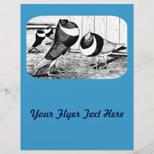 Aachen Band Cropper Pigeons Flyer