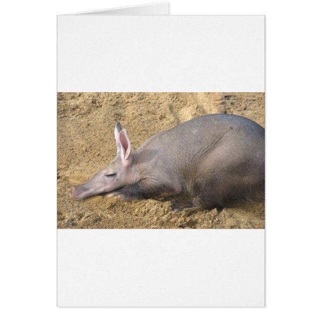 Aardvark (Devant)