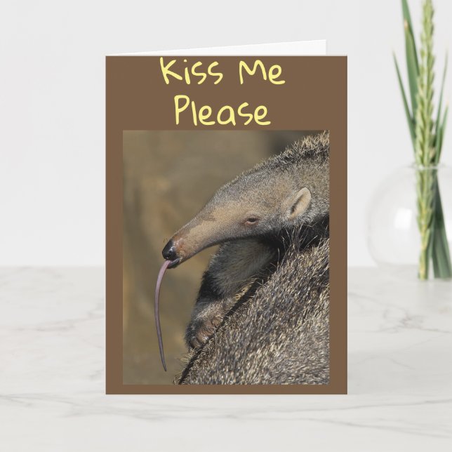 AARDVARK WILL "LOVE YOU FOREVER" KISS ME! CARD (Front)