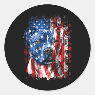 Ab Patriotic Pitbull Dog Lover Owner 4th Of July R Classic Round Sticker