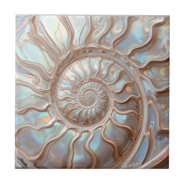  Abalone and Pearl Nautilus Shell Tile (Front)