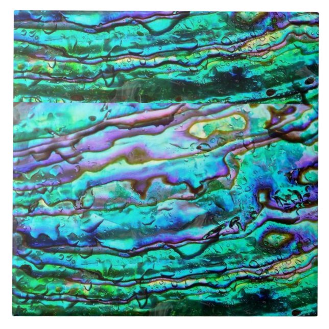Abalone  ceramic tile (Front)