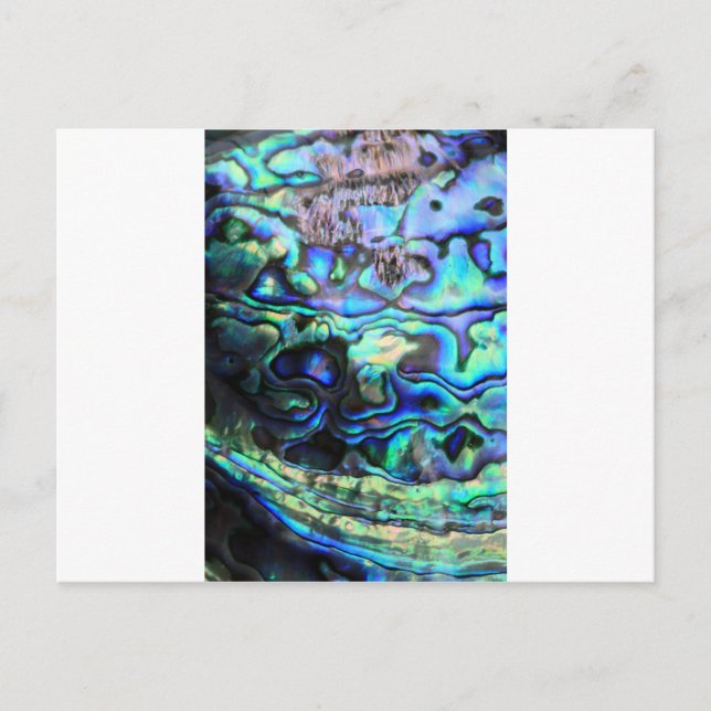 Abalone paua shell postcard (Front)