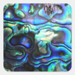 Abalone paua shell square sticker