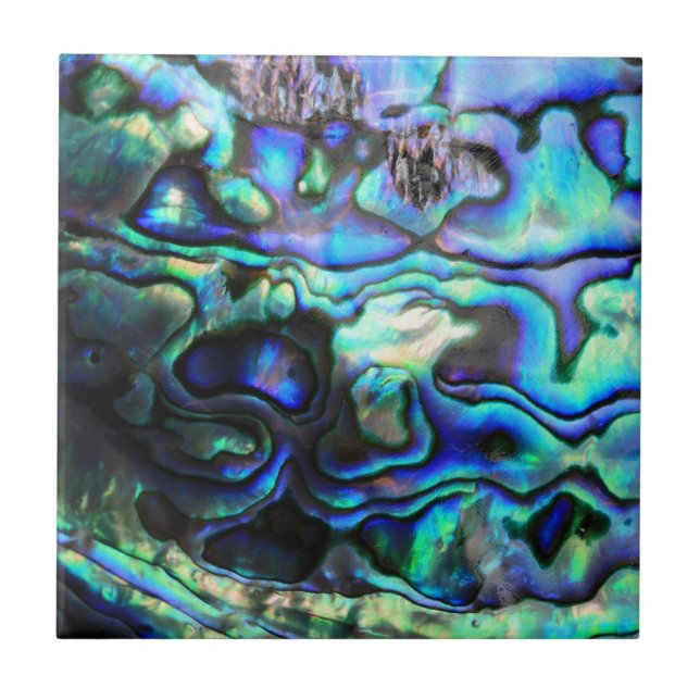 Abalone paua shell tile (Front)