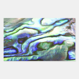 Abalone shell green blue paua sticker