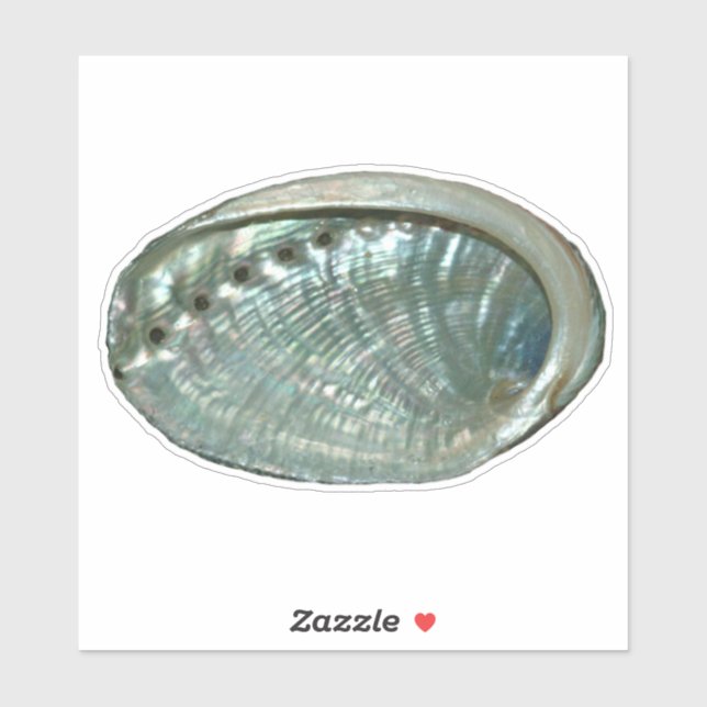 Abalone Shell Sticker (Sheet)
