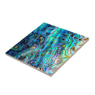 Abalone shell  tile