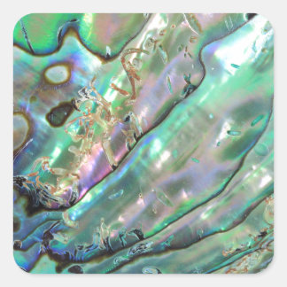 Abalone Square Sticker