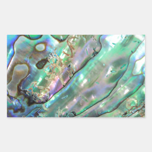 Abalone Sticker