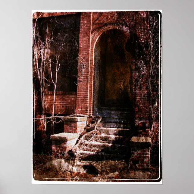 Abandoned Brick and Vines Poster (Front)