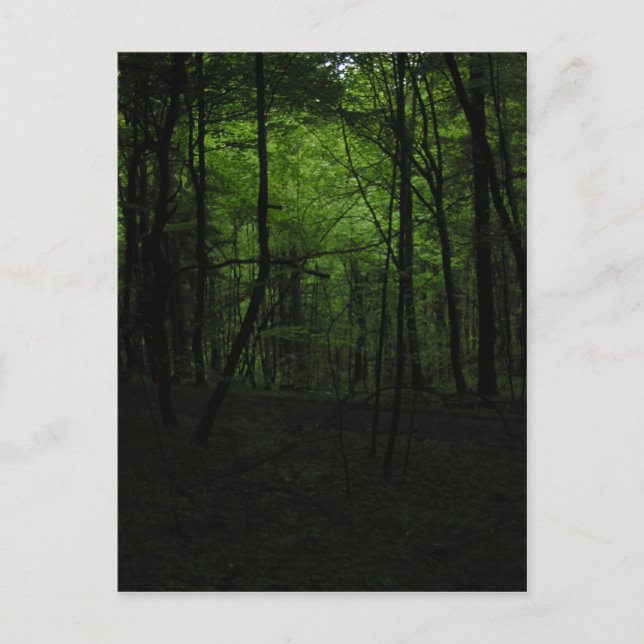 Abandoned dark forest postcard (Front)