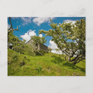 Abandoned Farm Postcard