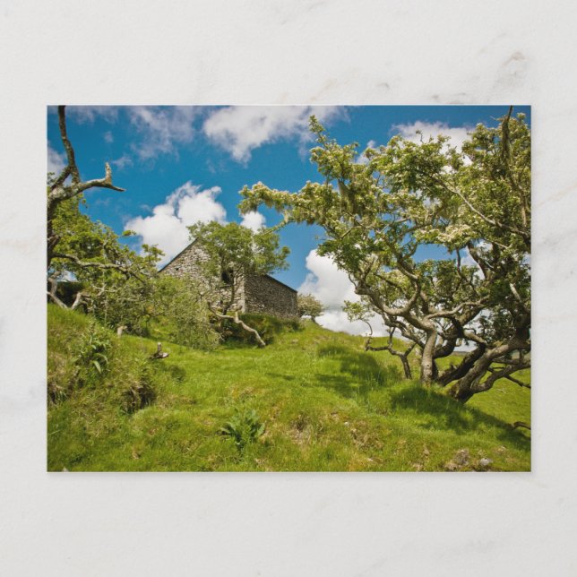 Abandoned Farm Postcard (Front)