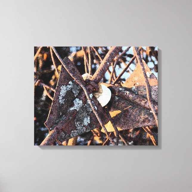 Abandoned Fencing Canvas Print (Front)