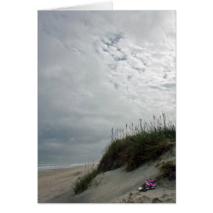 Abandoned Flip Flops