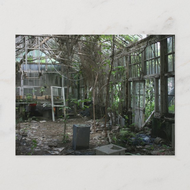 Abandoned greenhouse postcard (Front)
