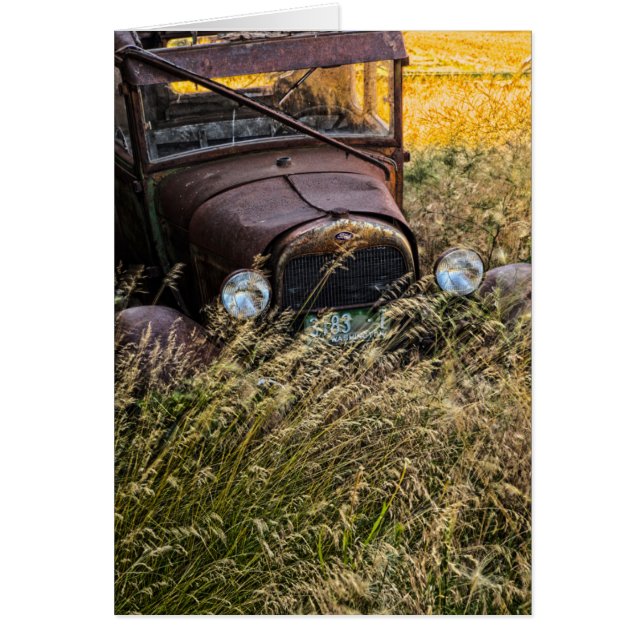 Abandoned old car in tall grass (Front)