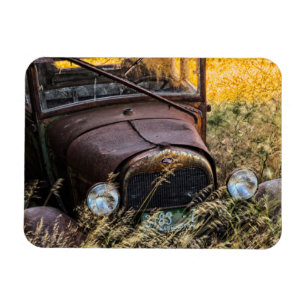 Abandoned old car in tall grass magnet