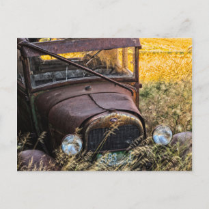 Abandoned old car in tall grass postcard