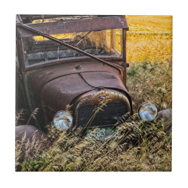 Abandoned old car in tall grass tile (Front)