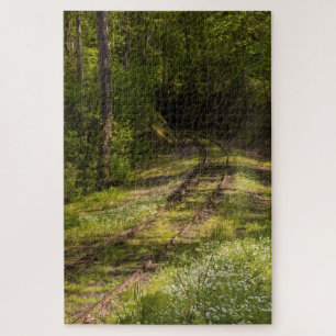 Abandoned Railroad In A Forest Jigsaw Puzzle