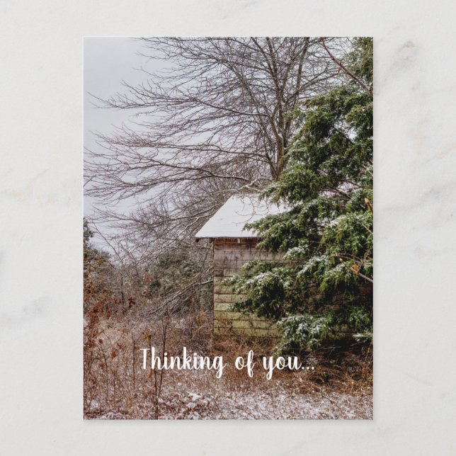 Abandoned Shed Thinking Of You Postcard (Front)