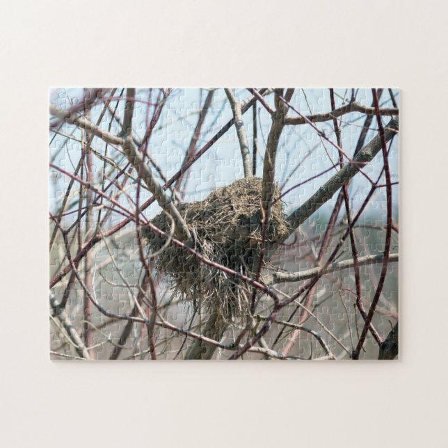 Abandoned Spring Bird Nest Nature  Jigsaw Puzzle (Horizontal)