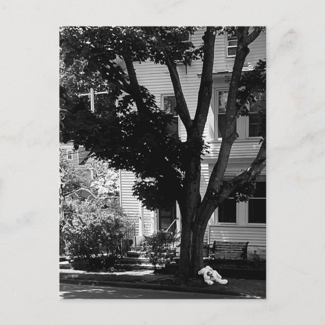 Abandoned Stuffed Teddy Bear Under Tree Postcard (Front)