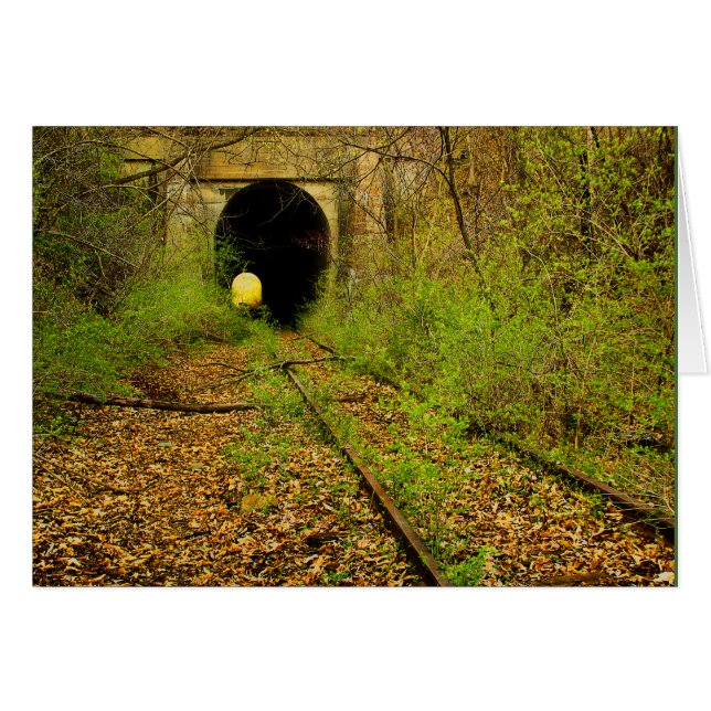 Abandoned train tunnel (Front Horizontal)