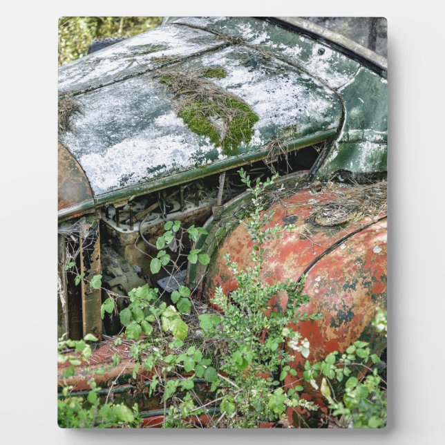 Abandoned Vintage Truck Plaque (Front)