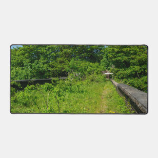 Abandoned Whitacre Mill Viaduct, Huddersfield