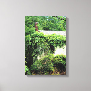 Abandoned White House in the Woods Canvas Print
