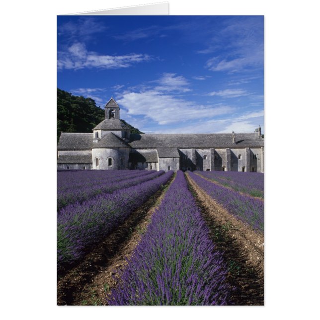 Abbaye de Senanque, Gordes, Vaucluse, Provence, (Devant)