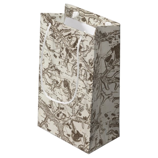 Abbeville Small Gift Bag (Back Angled)