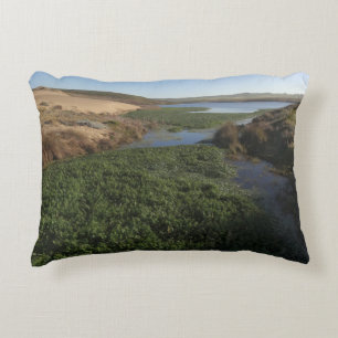 Abbotts Lagoon I at Point Reyes National Seashore Accent Pillow