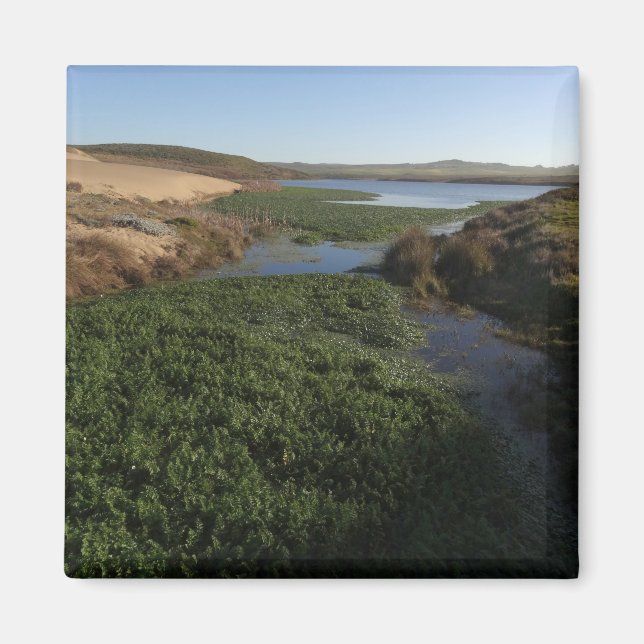 Abbotts Lagoon I at Point Reyes National Seashore Magnet (Front)