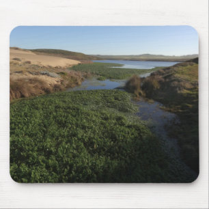 Abbotts Lagoon I at Point Reyes National Seashore Mouse Pad