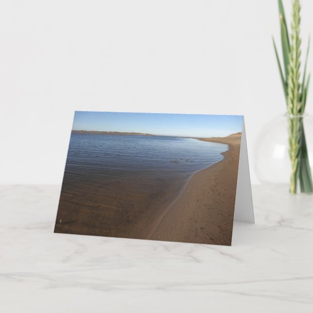 Abbotts Lagoon II at Point Reyes National Seashore Card (Front)