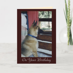 Abby attend la carte d'anniversaire