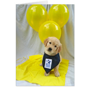 Abby Balloon Card
