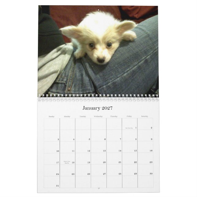 Abby Custom Calendar (Jan 2027)