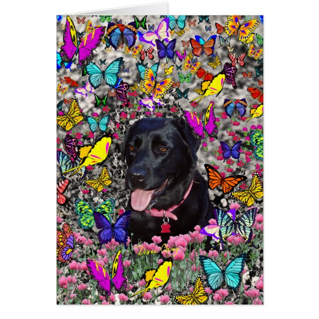 Abby in Butterflies - Black Lab Dog (Devant)