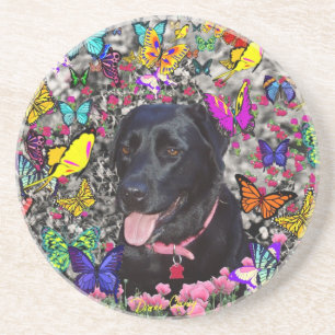 Abby in Butterflies - Black Lab Dog Coaster