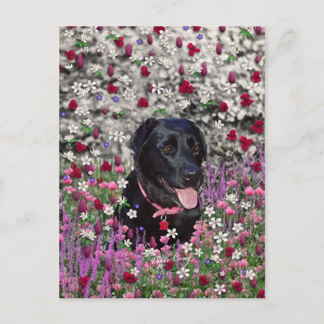 Abby in Flowers – Black Lab Dog Postcard (Front)