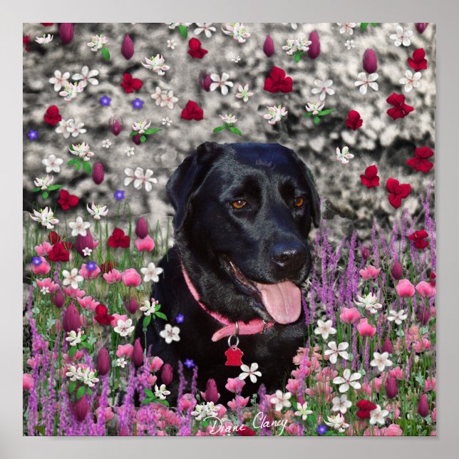 Abby in Flowers – Black Lab Dog Poster (Front)