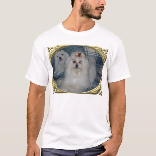 Abby in Frame T-Shirt