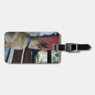 Abby Waits Luggage Tag