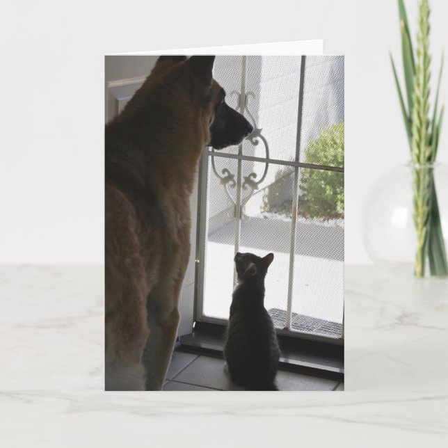 Abby With Zorro At Front Door Blank Greeting Card (Front)
